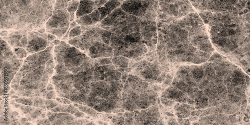 Detailed abstract texture resembling cracked earth or marble with a dark gray base and lighter, intricate network of cracks and veins for a natural, organic feel