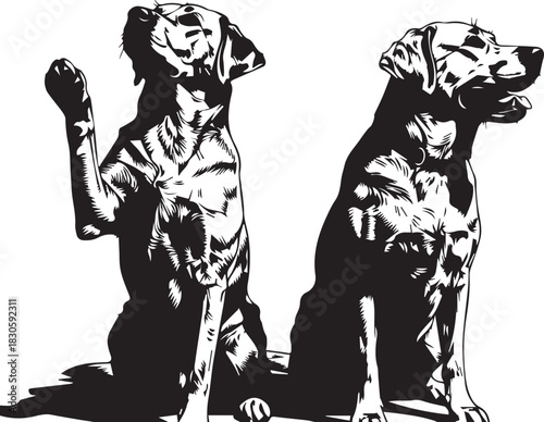 A striking black and white graphic illustration of two Labrador dogs sitting, with one eagerly raising its paw for a high-five