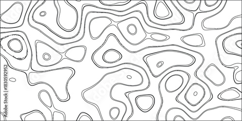 Black and white abstract line art pattern with interconnected organic shapes and loops, resembling a stylized topographic map or a complex biological structure on a white background