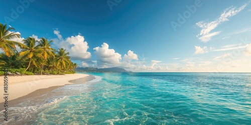 Fototapeta Naklejka Na Ścianę i Meble -  Fresh marigold flower with full depth of field on white background, suitable for floral design layouts