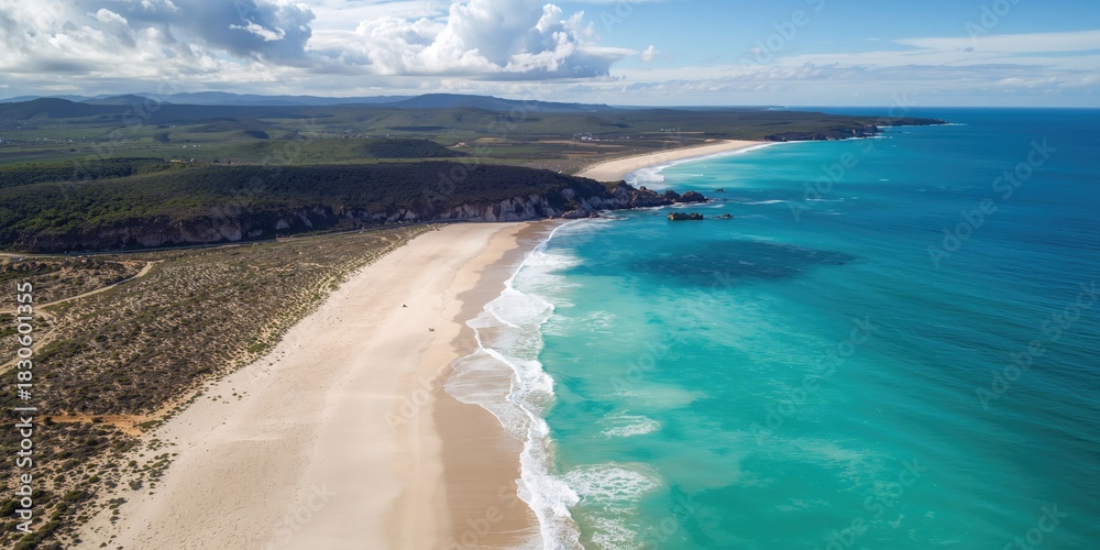Fototapeta premium Brain metastasis visible in CT scan highlighting tumor spread, emphasizing diagnostic imaging, World Brain Tumor Day