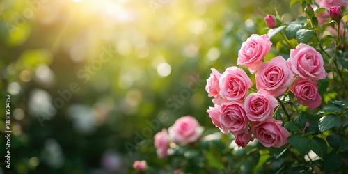 Colorful fabric lanterns with decorative light knives on a black background, used as a festive backdrop for celebration themes