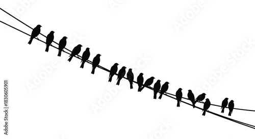 A simple black and white illustration of many bird silhouettes perched in a neat row along a diagonal telephone wire.