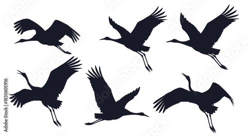 A set of six dark grey silhouettes showing elegant cranes or herons in various graceful flight positions on a white background.