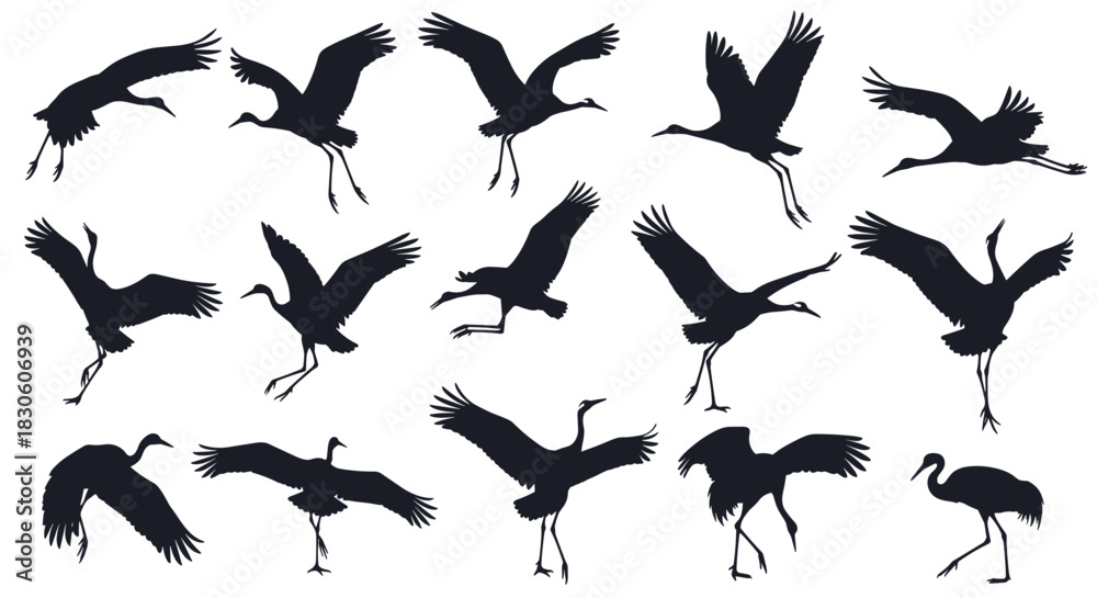 Obraz premium A large collection of dynamic black silhouettes of Japanese cranes in various poses of dancing walking and flying.