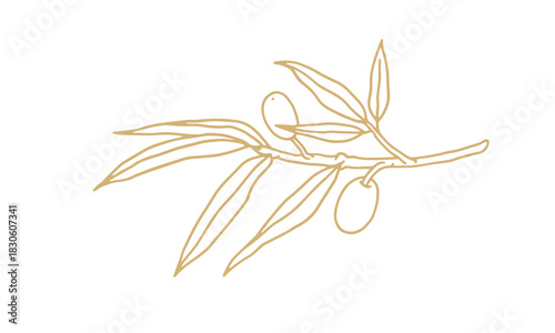 A beautifully drawn golden olive branch with delicate leaves and ripe olives, rendered in a simple and elegant line art style