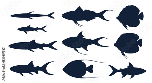 A diverse set of twelve dark blue fish silhouettes including sharks and various tropical fish on a clean white background.