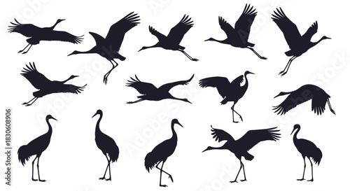 Collection of graceful crane bird silhouettes in various flying and standing poses for nature and wildlife-themed design projects.