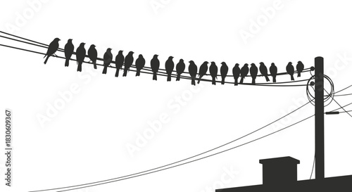 Black silhouette of a large flock of birds perched in a row on a telephone wire against a stark white background.