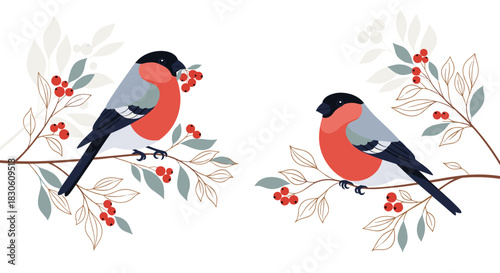 Two beautifully illustrated bullfinch birds with red chests perched on delicate branches with red berries and muted leaves.