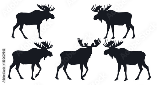 A collection of five black silhouettes of majestic moose in various standing and walking poses isolated on a white background.