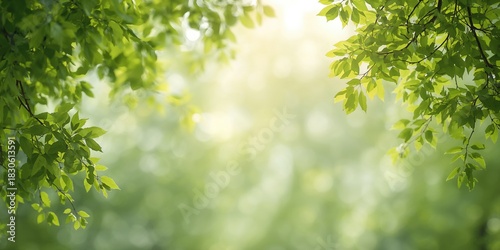 Fototapeta Naklejka Na Ścianę i Meble -  Woman preparing fresh vegetables in the kitchen, emphasizing healthy eating habits, World Food Day
