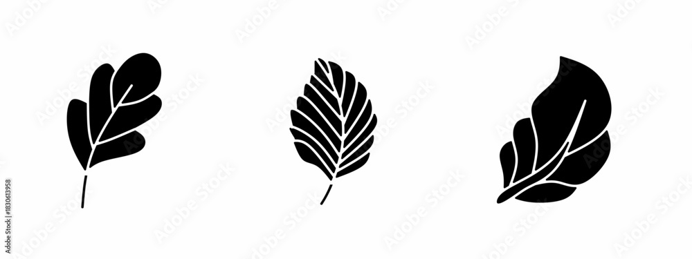 Fototapeta premium Leaf icon set. Vector symbol. Illustration of leaves. Leaf. Vector illustration. Stock vector.