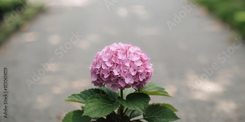 Two elegant gift boxes with blue bows placed on a dark blue background for special occasions, side view monochrome