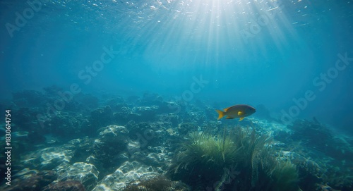 Fototapeta Naklejka Na Ścianę i Meble -  Sound of waves meeting Christmas lights, holiday beach scene with festive illumination