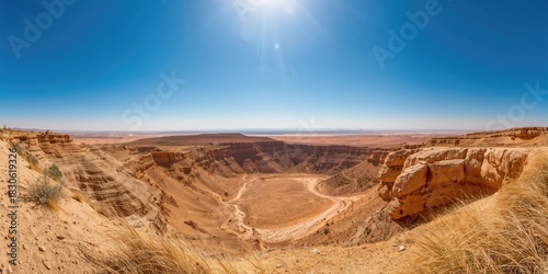 Lily African Queen with trumpet-shaped orange yellow flowers used as a garden border, seasonal flower display