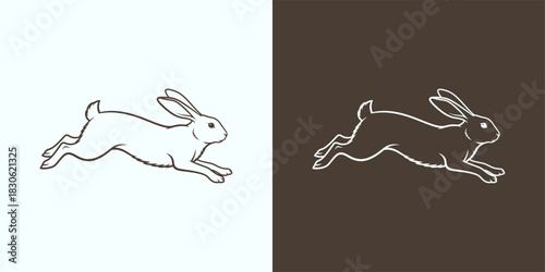Konstfotografi Elegant Running Hare Illustration in Contrasting Styles