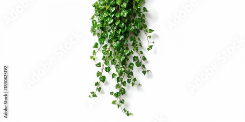 Vintage fabric with button texture from sofa, suitable for upholstery repair or pattern design purposes