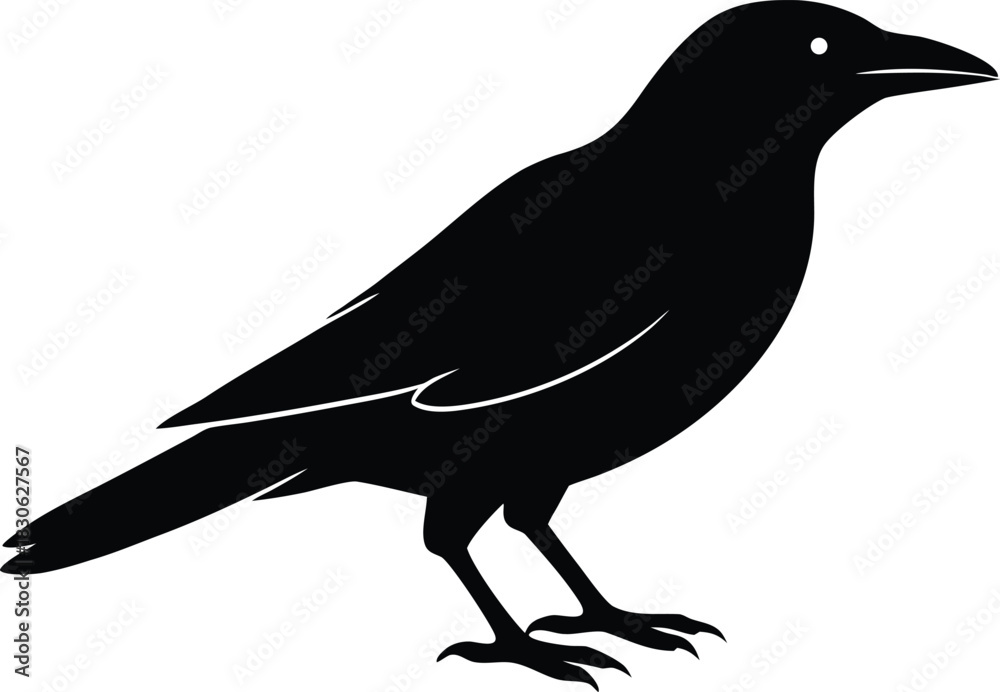 Fototapeta premium Crow bird silhouette vector icon. Black raven symbol.