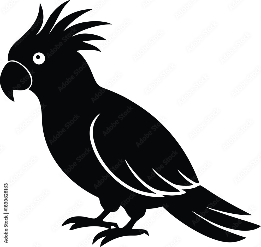 Obraz premium Cockatoo bird vector illustration, Exotic parrot animal graphic