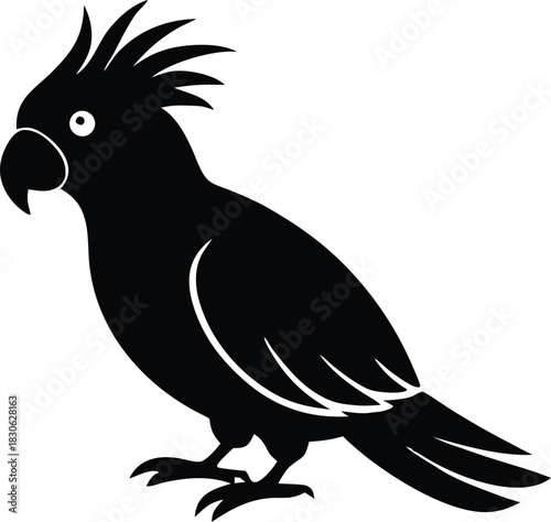 Cockatoo bird vector illustration, Exotic parrot animal graphic