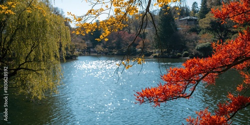 Barbed wire fence and meadow, serving as a barrier in rural landscape, emphasizing land security and boundary delineation