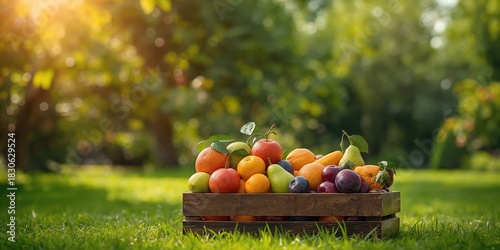 Mallard Anas platyrhynchos taking off from water in a natural landscape, focusing on flight mechanics