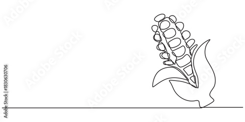 A single line drawing of a corn. Continuous line thanksgiving corn icon in color. One line icon. Vector illustration, Corn continuous one line drawing, single line art element, minimalist sketch line.
