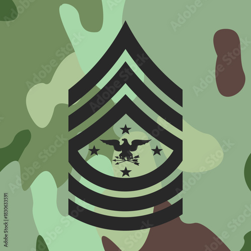 Badge or patch of sergeant of the level of chief and commander on field uniform, insignia icon on camouflage vector..