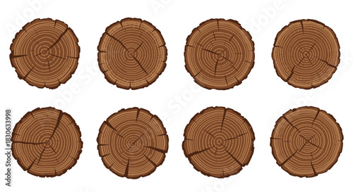 Set of Eight Tree Trunk Cross Sections with Annual Rings Texture
