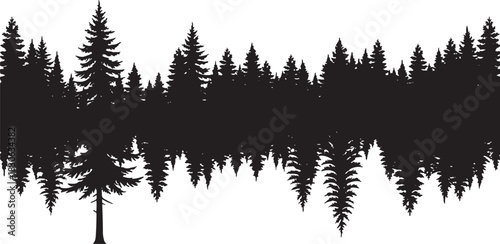 black silhouette of pine forest on white background, vector