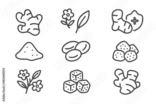 Outline symbols representing ginger root, spice powder, flower, and medicinal health concepts