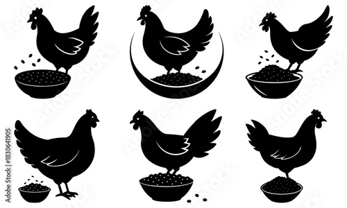 Farm fresh eggs start with healthy chickens, illustrated here in a scalable vector set. Perfect for organic food branding and animal welfare campaigns