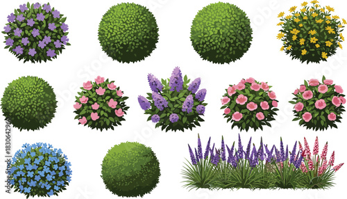 Set of ornamental green bushes and blooming garden shrubs with colorful flowers for landscaping and nature vector illustration design.