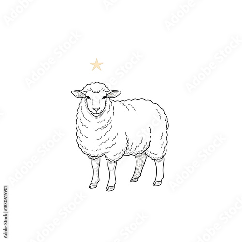 Detailed Line Art of a Standing Sheep with Star.