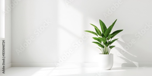 Green leafy plant in a mode...