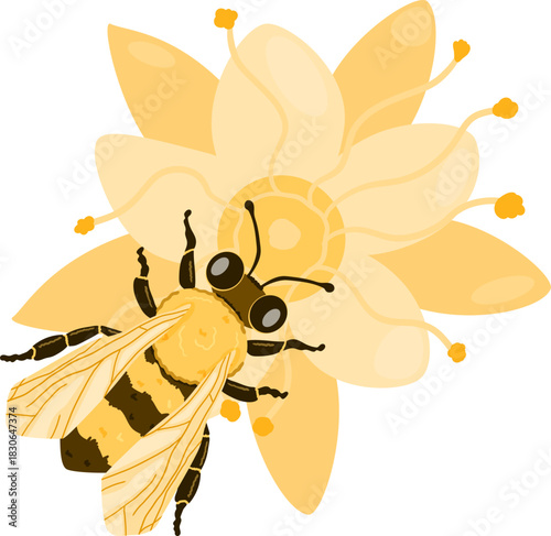 Charming vector of a honeybee collecting nectar from a blooming linden flower. The soft yellow color. Illustration ideal for botanical prints, tea packaging, or eco-product 