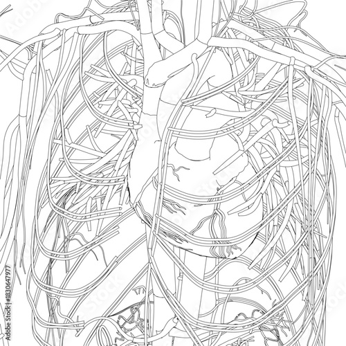 A black and white tree drawing with a vibrant heart center mimics the human circulatory system. Its intricate, tangled branches resemble veins and arteries within the body.