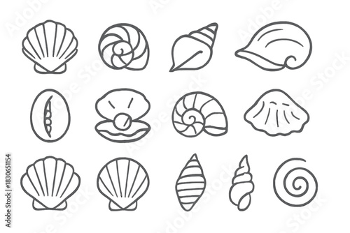 Simple outline icons depicting various ocean seashells, spiral shells, and clam with pearl