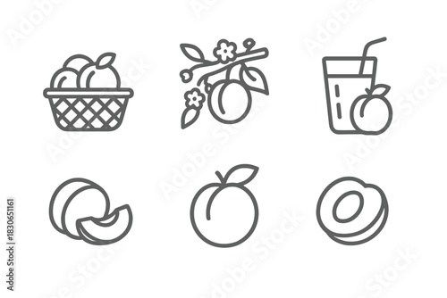 Fresh peach and apricot fruit set with slices, juice, and harvest basket