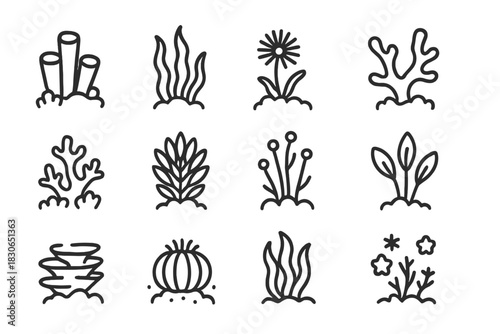 Simple line icons of underwater plants, coral, marine algae, and seaweed