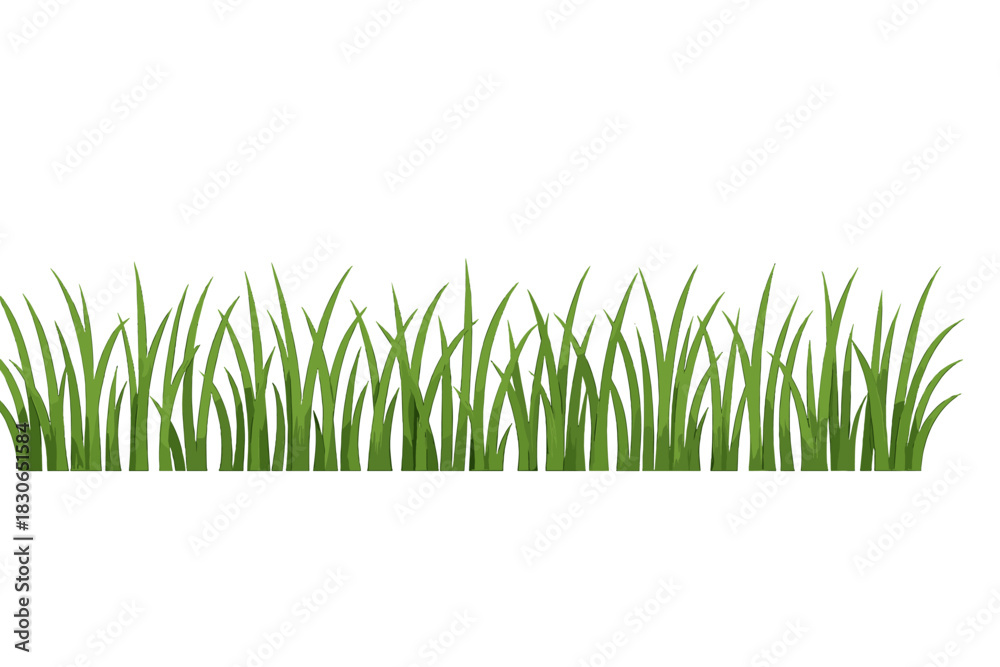 Fototapeta premium Seamless horizontal border of fresh green grass blades isolated on a white background