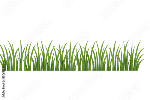 Seamless horizontal border of fresh green grass blades isolated on a white background