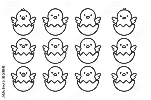 Cute newborn baby chicks hatching from cracked eggshells