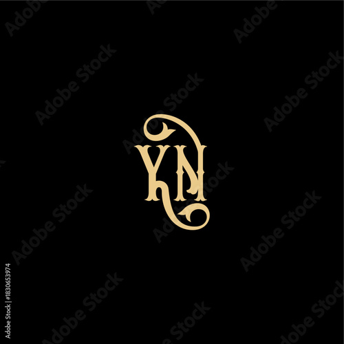 YN letter initial royal concept Barock style design monogram modern logo