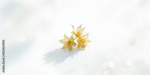 Main diesel locomotive afte...