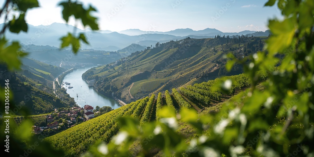 Naklejka premium Colorful flower bed with red, yellow, and orange blooms in a sunlit garden used as a vibrant outdoor floral display
