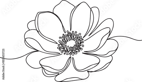 Single line drawing of a blooming rose flower with stem and leaves vector