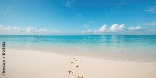 Fototapeta Naklejka Na Ścianę i Meble -  Spring scene with blooming flowers and bright sunlight, suitable for seasonal background use