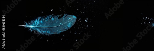 Blue feather with water dro...